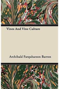 Vines And Vine Culture
