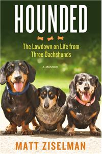 Hounded