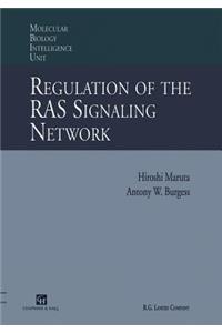 Regulation of the Ras Signalling Network