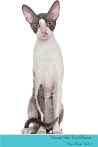 Cornish Rex Cat Presents