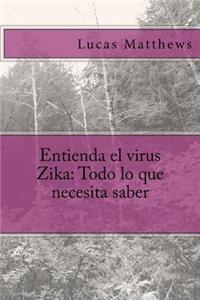 Entienda el virus Zika