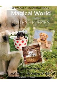 Cutest Puppies