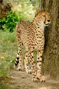 Cheetah Big Cat Journal