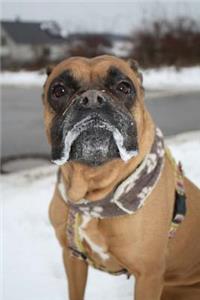 Boxer Dog Portrait Journal