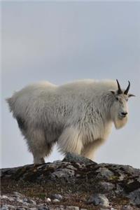 White Mountain Goat on the Clifftop Nature Journal