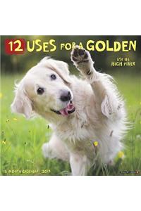 12 Uses for a Golden 2019 Wall Calendar (Dog Breed Calendar)