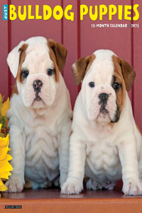 Bulldog Puppies 2026 12 X 12 Wall Calendar