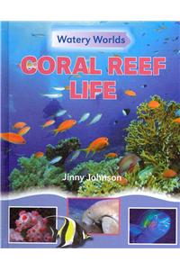 Coral Reef Life