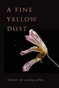 Fine Yellow Dust