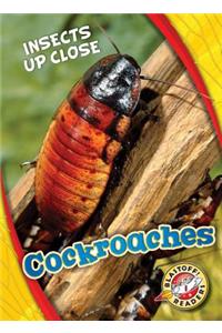 Cockroaches