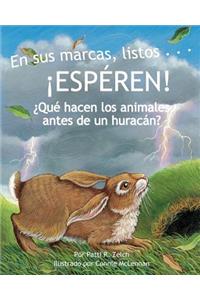En Sus Marcas, Listos... ¡Espéren! ¿Qué Hacen Los Animales Antes de Un Huracán? (Ready, Set . . . Wait! What Animals Do Before a Hurricane )