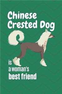 Chinese Crested Dog is a woman's Best Friend