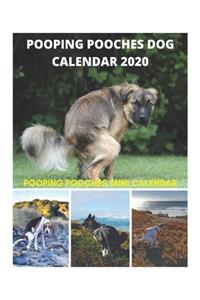 Pooping Pooches Dog Calendar 2020 - Pooping Pooches Mini Calendar