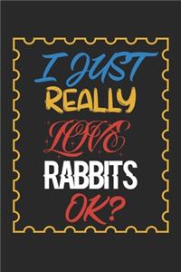 I Just Really love Rabbits Ok?