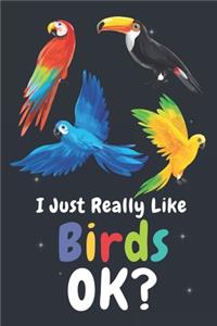 I Just Really Like Birds Ok