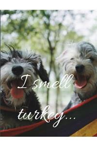 I smell turkey