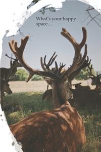 What's your happy space...