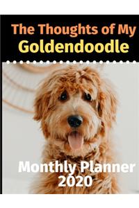 The Thoughts of My Goldendoodle