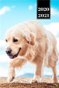 Golden Retriever Dog Calendar Week Planner 2020 / 2021 - Sniff and Search