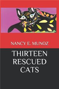 Thirteen Rescued Cats