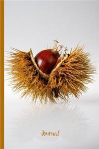 Fruit #9 Journal