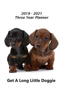 2019