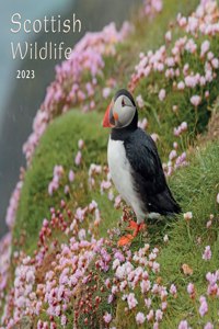 2023 SCOTTISH WILDLIFE