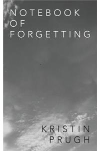Notebook of Forgetting