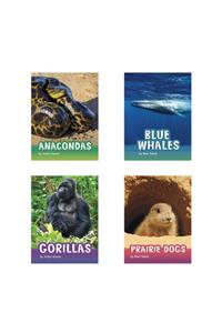 Animals