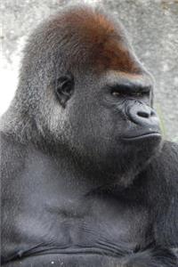 Grumpy Gorilla Journal