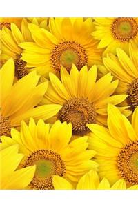 Daily Planner and Organizer