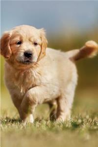 Golden Retriever April Notebook & Journal. Productivity Work Planner & Idea Notepad