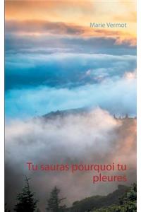 Tu sauras pourquoi tu pleures