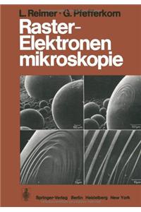 Raster-Elektronenmikroskopie