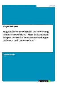 Möglichkeiten und Grenzen der Bewertung von Internetauftritten - Meta-Evaluation am Beispiel der Studie Internetanwendungen im Natur- und Umweltschutz