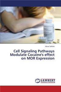 Cell Signaling Pathways Modulate Cocaine's Effect on Mor Expression