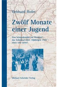 Zwölf Monate einer Jugend