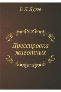 Дрессировка животных