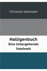 Halligenbuch Eine Untergehende Inselwelt