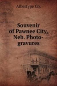 Souvenir of Pawnee City, Neb. Photo-gravures