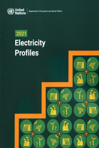 2021 Electricity Profiles