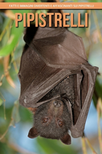 Pipistrelli - Fatti e immagini divertenti e affascinanti sui Pipistrelli