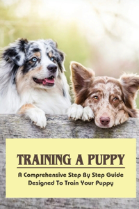 Training A Puppy
