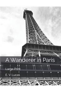 A Wanderer in Paris