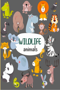 WIlDLIFE Animals