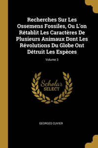 Recherches Sur Les Ossemens Fossiles, Ou L'on Rétablit Les Caractères De Plusieurs Animaux Dont Les Révolutions Du Globe Ont Détruit Les Espèces; Volume 3