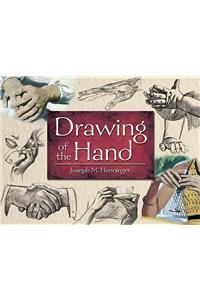 Drawing of the Hand