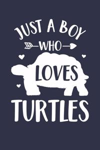 Just A Boy Who Loves Turtles Notebook - Gift for Turtle Lovers - Turtle Journal