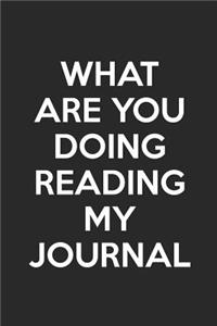 What Are You Doing Reading My Journal