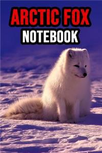 Arctic Fox